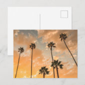 Aufwärts Sicht auf Palmen Postkarte (Vorne/Hinten)
