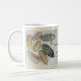 Aufwertung von Pastoren - Muscheln in Signatur Kaffeetasse