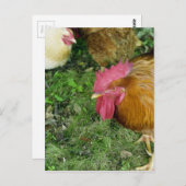 Aufzählungszeichen Postkarte (Vorne/Hinten)