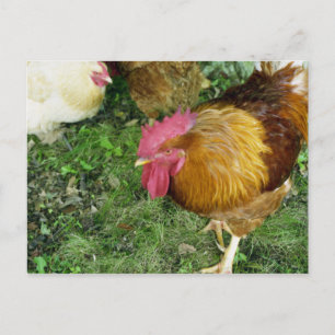 Aufzählungszeichen Postkarte