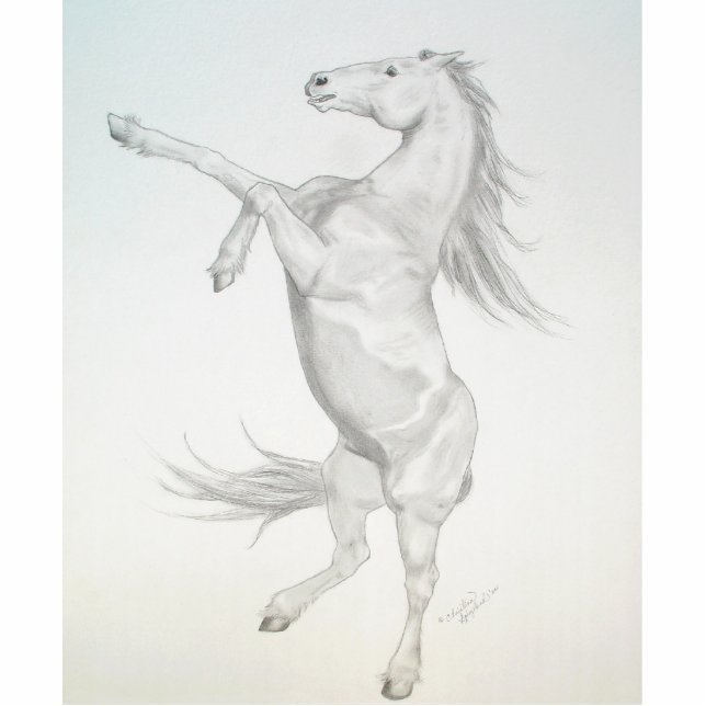 Aufzuchtpferd, Akrylskulptur Freistehende Fotoskulptur (Vorne)