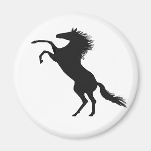 Aufzuchtpferd Magnet