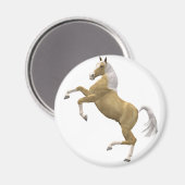 Aufzuchtpferd Magnet (Vorderseite/Rückseite)