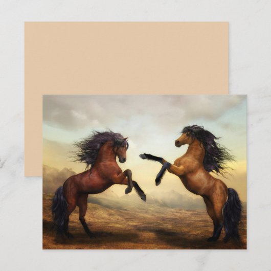 Aufzuchtpferde Postkarte (Vorne/Hinten)