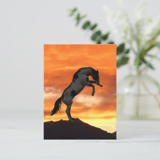 Aufzuchtpferde Postkarte (Stehend Vorderseite)