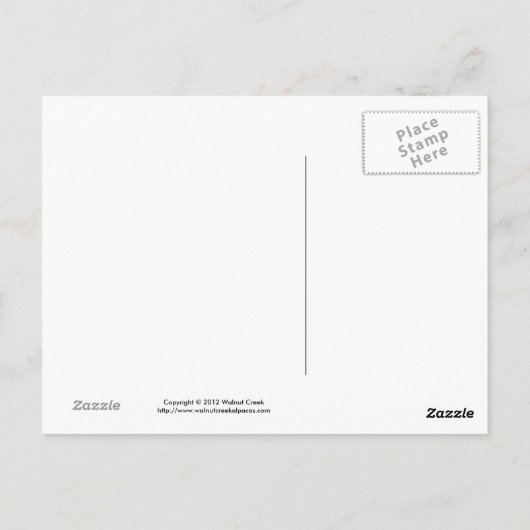 Aufzuchtpferde Postkarte (Rückseite)