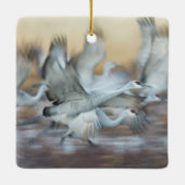 Aufzug von Sandhill Cranes Keramikornament (Rückseite)