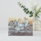 Aufzug von Sandhill Cranes Postkarte (Stehend Vorderseite)