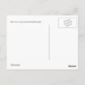 Aufzug von Sandhill Cranes Postkarte (Rückseite)