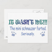 aug315fartMiniSchnauzer.jpg Postkarte (Vorne/Hinten)