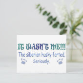aug315fartSiberianHusky.jpg Postkarte (Stehend Vorderseite)