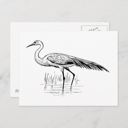 Aug Postkarte (Vorne/Hinten)