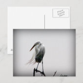 Aug Postkarte (Vorne/Hinten)