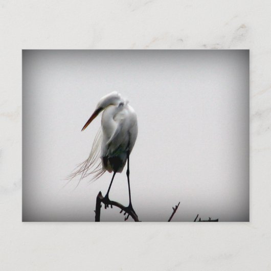 Aug Postkarte (Vorderseite)