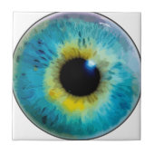 Augapfel - Iris Fliese (Vorderseite)