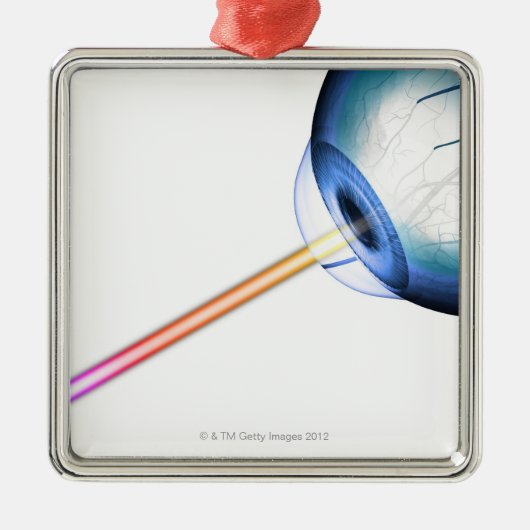 Augapfel-Linie der Vision Silbernes Ornament (Vorne)