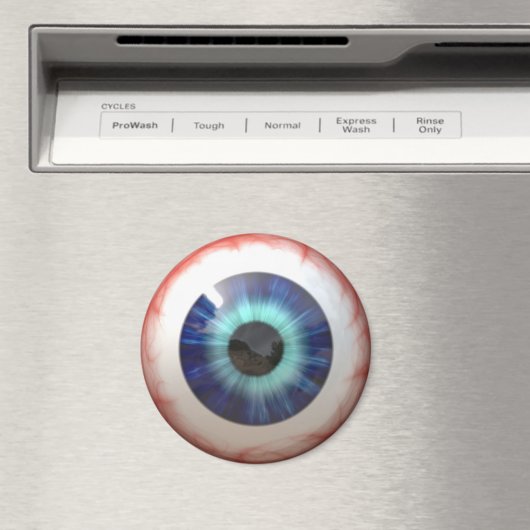 Augapfel Magnet (In Situ (Geschirrspüler))