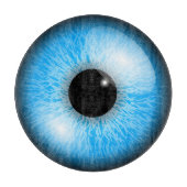 Augapfel Schneidebrett (Vorderseite)