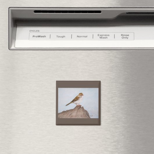 Auge auf dem Sparrow Magnet (In Situ (Geschirrspüler))