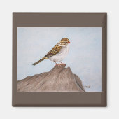 Auge auf dem Sparrow Magnet (Vorne)