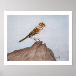 Auge auf dem Spatz 11"x14" Druck Poster