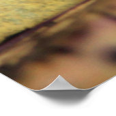 Auge auf dich Gator Poster (Ecke)