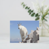 Auge auf dich postkarte (Stehend Vorderseite)