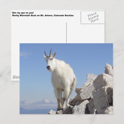 Auge auf dich postkarte (Vorne/Hinten)