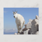 Auge auf dich postkarte (Vorderseite)