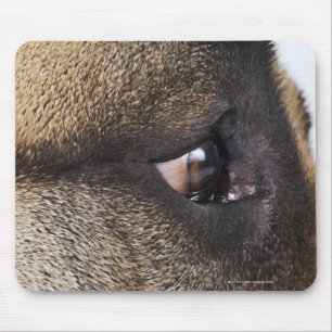 Auge der Deutscher Dogge Mousepad