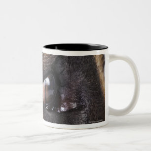 Auge der Deutscher Dogge Zweifarbige Tasse