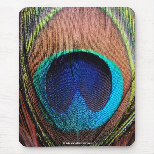Auge der Pfau-Feder-Nahaufnahme Mousepad (Vorne)