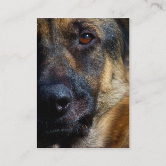 Auge der Schäfer-Visitenkarten Visitenkarte (Vorderseite)