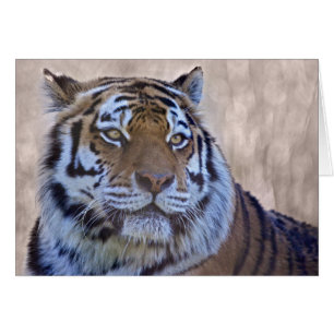 Auge der Tigerkarte
