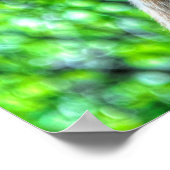 Auge der weißen Ranch Mare Foto 2 Poster (Ecke)