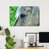Auge der weißen Ranch Mare Foto 2 Poster (Heimbüro)
