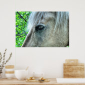 Auge der weißen Ranch Mare Foto 2 Poster (Küche)