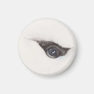 Auge des Albatros – Gaze Collection Magnet