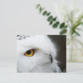 Auge des Auges Postkarte (Stehend Vorderseite)