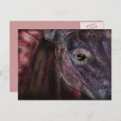 Auge des Betrachters - Postkarte (Vorne/Hinten)