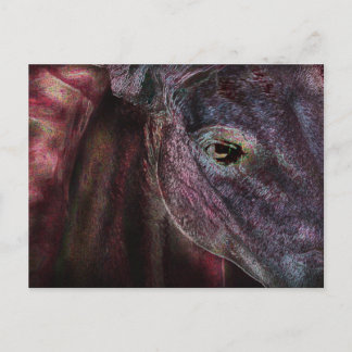 Auge des Betrachters - Postkarte