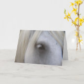 Auge des Fell Pony Karte (Gelbe Blume)