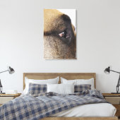 Auge des Großen Dans Leinwanddruck (Insitu (Schlafzimmer))
