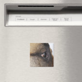 Auge des Großen Dans Magnet (In Situ (Geschirrspüler))