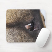 Auge des Großen Dans Mousepad (Mit Mouse)