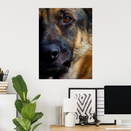 Auge des Hirten Kunstdrucks Poster (Heimbüro)