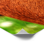 Auge des Kastaniengeldes PferdeEquine Foto 2 Poster (Ecke)