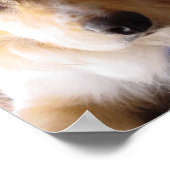 Auge des Kuchens Poster (Ecke)