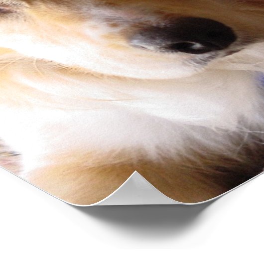 Auge des Kuchens Poster (Ecke)