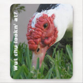 Auge des Nah-up-Entenfotos Mousepad (Vorne)